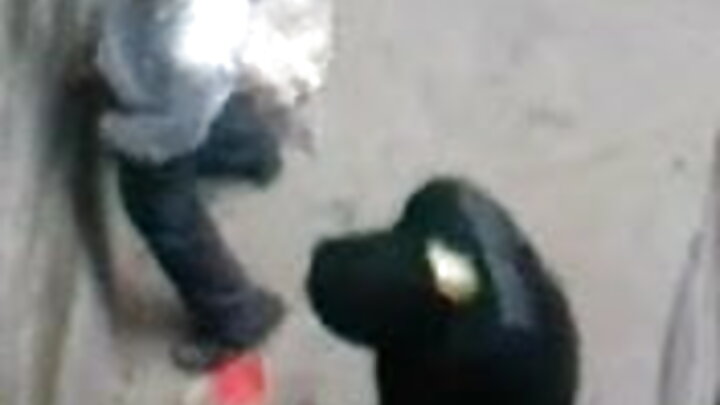 ایک روسی لڑکی ایک blowjob دیتا ہے ایک آدمی کے سخت مرگا